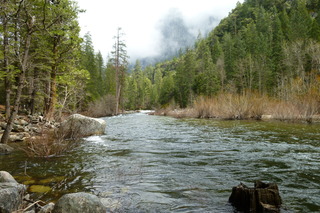 Filename=P1020881.JPG
Filesize=5101KiB
Dimensions=4320x2880
Date added=Sep 23, 2019 P1020881.JPG