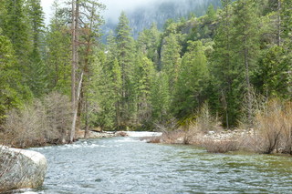 Filename=P1020884.JPG
Filesize=5035KiB
Dimensions=4320x2880
Date added=Sep 23, 2019 P1020884.JPG