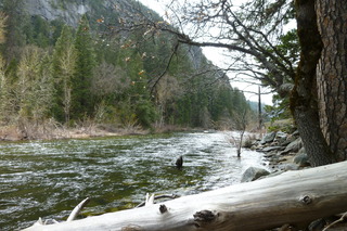 Filename=P1020885.JPG
Filesize=5053KiB
Dimensions=4320x2880
Date added=Sep 23, 2019 P1020885.JPG