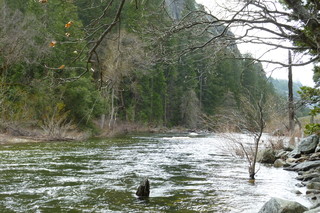 Filename=P1020886.JPG
Filesize=5205KiB
Dimensions=4320x2880
Date added=Sep 23, 2019 P1020886.JPG