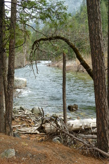 Filename=P1020896.JPG
Filesize=4455KiB
Dimensions=2880x4320
Date added=Sep 23, 2019 P1020896.JPG