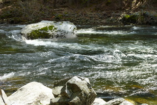 Filename=P1020897.JPG
Filesize=5130KiB
Dimensions=4320x2880
Date added=Sep 23, 2019 P1020897.JPG