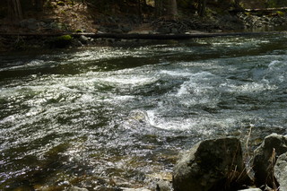 Filename=P1020898.JPG
Filesize=5167KiB
Dimensions=4320x2880
Date added=Sep 23, 2019 P1020898.JPG