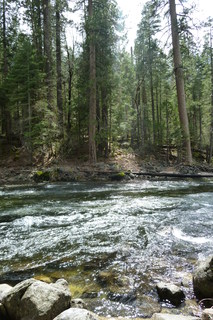 Filename=P1020899.JPG
Filesize=4444KiB
Dimensions=2880x4320
Date added=Sep 23, 2019 P1020899.JPG