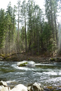 Filename=P1020900.JPG
Filesize=4520KiB
Dimensions=2880x4320
Date added=Sep 23, 2019 P1020900.JPG