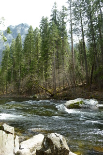 Filename=P1020903.JPG
Filesize=4474KiB
Dimensions=2880x4320
Date added=Sep 23, 2019 P1020903.JPG