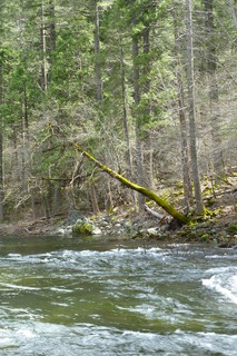 Filename=P1020904.JPG
Filesize=4299KiB
Dimensions=2880x4320
Date added=Sep 23, 2019 P1020904.JPG