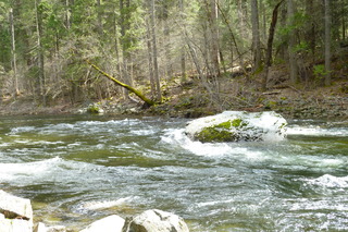 Filename=P1020906.JPG
Filesize=5296KiB
Dimensions=4320x2880
Date added=Sep 23, 2019 P1020906.JPG