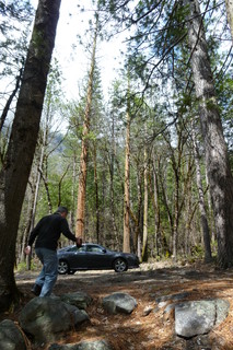 Filename=P1020918.JPG
Filesize=4544KiB
Dimensions=2880x4320
Date added=Sep 23, 2019 P1020918.JPG