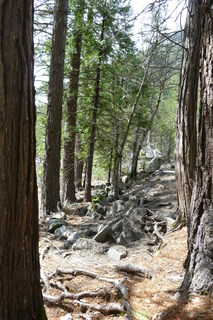 Filename=P1020919.JPG
Filesize=4279KiB
Dimensions=2880x4320
Date added=Sep 23, 2019 P1020919.JPG