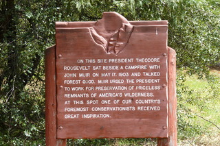 Filename=P1020921.JPG
Filesize=5042KiB
Dimensions=4320x2880
Date added=Sep 23, 2019 P1020921.JPG