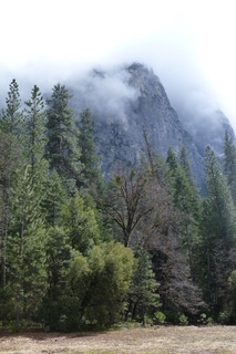 Filename=P1020928.JPG
Filesize=4691KiB
Dimensions=2880x4320
Date added=Sep 23, 2019 P1020928.JPG