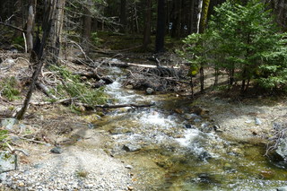 Filename=P1020932.JPG
Filesize=5102KiB
Dimensions=4320x2880
Date added=Sep 23, 2019 P1020932.JPG