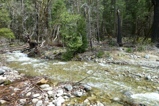 Filename=P1020938.JPG
Filesize=4974KiB
Dimensions=4320x2880
Date added=Sep 23, 2019 P1020938.JPG