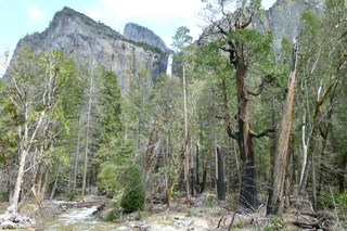 Filename=P1020939.JPG
Filesize=5125KiB
Dimensions=4320x2880
Date added=Sep 23, 2019 P1020939.JPG