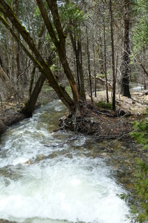 Filename=P1020941.JPG
Filesize=4331KiB
Dimensions=2880x4320
Date added=Sep 23, 2019 P1020941.JPG