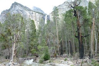 Filename=P1020952.JPG
Filesize=5028KiB
Dimensions=4320x2880
Date added=Sep 23, 2019 P1020952.JPG