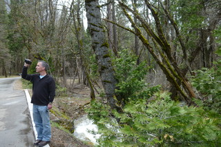 Filename=P1020955.JPG
Filesize=5183KiB
Dimensions=4320x2880
Date added=Sep 23, 2019 P1020955.JPG