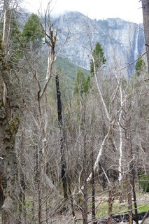 Filename=P1020959.JPG
Filesize=4462KiB
Dimensions=2880x4320
Date added=Sep 23, 2019 P1020959.JPG