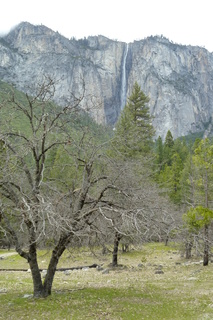 Filename=P1020962.JPG
Filesize=4641KiB
Dimensions=2880x4320
Date added=Sep 23, 2019 P1020962.JPG