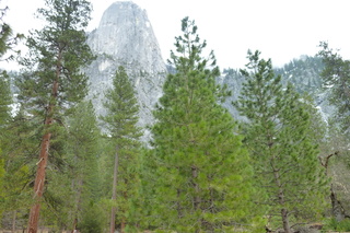 Filename=P1020979.JPG
Filesize=5565KiB
Dimensions=4320x2880
Date added=Sep 23, 2019 P1020979.JPG