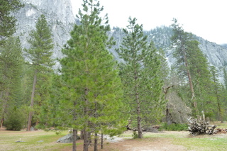 Filename=P1020981.JPG
Filesize=5320KiB
Dimensions=4320x2880
Date added=Sep 23, 2019 P1020981.JPG