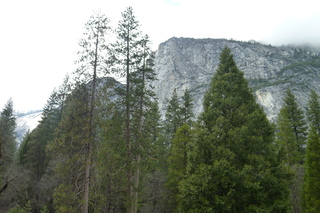 Filename=P1020984.JPG
Filesize=5260KiB
Dimensions=4320x2880
Date added=Sep 23, 2019 P1020984.JPG