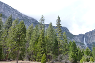 Filename=P1020993.JPG
Filesize=5316KiB
Dimensions=4320x2880
Date added=Sep 23, 2019 P1020993.JPG