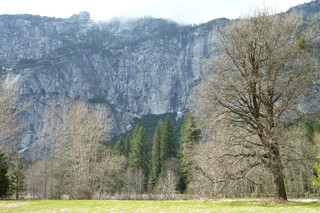 Filename=P1030022.JPG
Filesize=5060KiB
Dimensions=4320x2880
Date added=Sep 23, 2019 P1030022.JPG