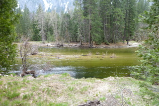 Filename=P1030076.JPG
Filesize=5023KiB
Dimensions=4320x2880
Date added=Sep 23, 2019 P1030076.JPG