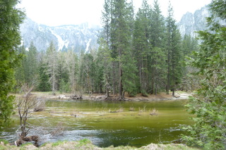 Filename=P1030077.JPG
Filesize=4971KiB
Dimensions=4320x2880
Date added=Sep 23, 2019 P1030077.JPG