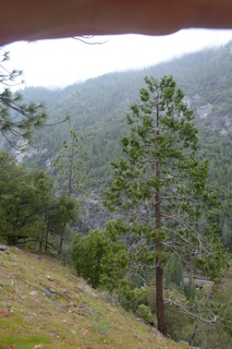 Filename=P1030136.JPG
Filesize=4514KiB
Dimensions=2880x4320
Date added=Sep 23, 2019 P1030136.JPG