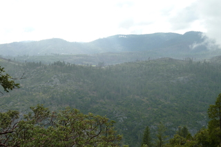 Filename=P1030148.JPG
Filesize=5204KiB
Dimensions=4320x2880
Date added=Sep 23, 2019 P1030148.JPG