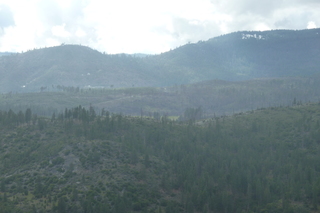 Filename=P1030149.JPG
Filesize=4807KiB
Dimensions=4320x2880
Date added=Sep 23, 2019 P1030149.JPG