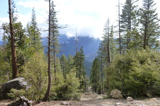 Filename=P1030157.JPG
Filesize=5260KiB
Dimensions=4320x2880
Date added=Sep 23, 2019 P1030157.JPG