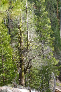 Filename=P1030159.JPG
Filesize=4578KiB
Dimensions=2880x4320
Date added=Sep 23, 2019 P1030159.JPG