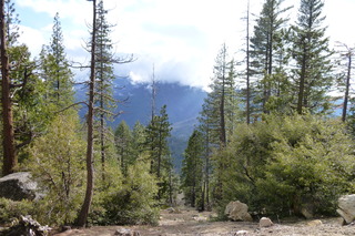 Filename=P1030160.JPG
Filesize=5314KiB
Dimensions=4320x2880
Date added=Sep 23, 2019 P1030160.JPG