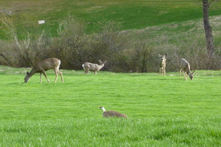 Filename=P1030162.JPG
Filesize=5507KiB
Dimensions=4320x2880
Date added=Sep 23, 2019 P1030162.JPG