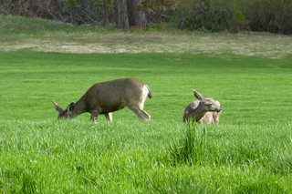 Filename=P1030167.JPG
Filesize=5503KiB
Dimensions=4320x2880
Date added=Sep 23, 2019 P1030167.JPG