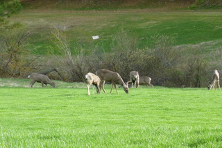 Filename=P1030172.JPG
Filesize=5467KiB
Dimensions=4320x2880
Date added=Sep 23, 2019 P1030172.JPG