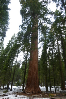 Filename=P1030174.JPG
Filesize=4593KiB
Dimensions=2880x4320
Date added=Sep 23, 2019 P1030174.JPG