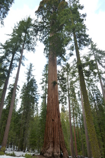 Filename=P1030175.JPG
Filesize=4762KiB
Dimensions=2880x4320
Date added=Sep 23, 2019 P1030175.JPG