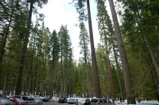 Filename=P1030176.JPG
Filesize=5521KiB
Dimensions=4320x2880
Date added=Sep 23, 2019 P1030176.JPG