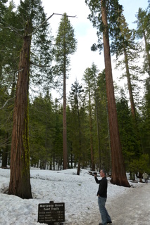 Filename=P1030178.JPG
Filesize=4802KiB
Dimensions=2880x4320
Date added=Sep 23, 2019 P1030178.JPG