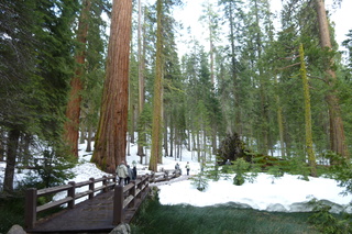 Filename=P1030181.JPG
Filesize=5288KiB
Dimensions=4320x2880
Date added=Sep 23, 2019 P1030181.JPG