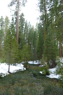 Filename=P1030182.JPG
Filesize=4742KiB
Dimensions=2880x4320
Date added=Sep 23, 2019 P1030182.JPG