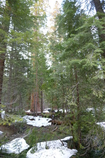 Filename=P1030185.JPG
Filesize=4353KiB
Dimensions=2880x4320
Date added=Sep 23, 2019 P1030185.JPG