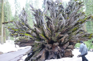 Filename=P1030189.JPG
Filesize=5430KiB
Dimensions=4320x2880
Date added=Sep 23, 2019 P1030189.JPG