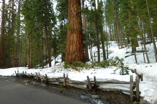 Filename=P1030190.JPG
Filesize=5366KiB
Dimensions=4320x2880
Date added=Sep 23, 2019 P1030190.JPG