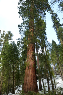 Filename=P1030192.JPG
Filesize=4815KiB
Dimensions=2880x4320
Date added=Sep 23, 2019 P1030192.JPG